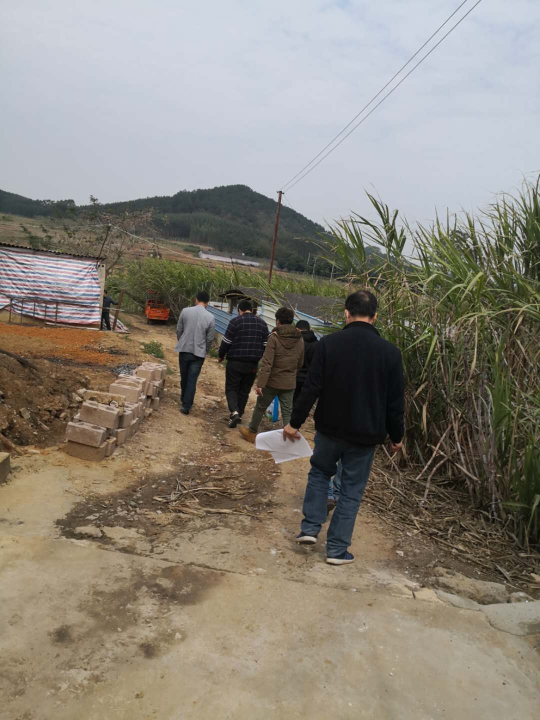 微信图片_20200219124839.jpg